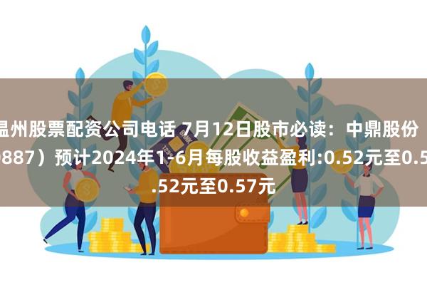 温州股票配资公司电话 7月12日股市必读：中鼎股份（000887）预计2024年1-6月每股收益盈利:0.52元至0.57元