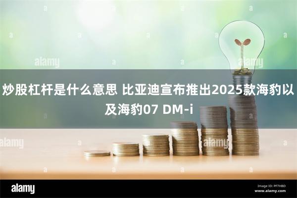 炒股杠杆是什么意思 比亚迪宣布推出2025款海豹以及海豹07 DM-i