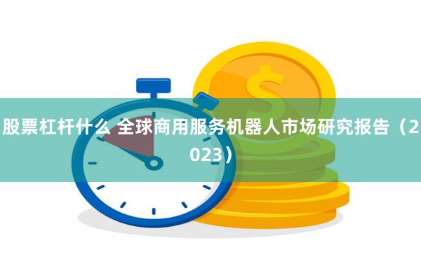 股票杠杆什么 全球商用服务机器人市场研究报告（2023）