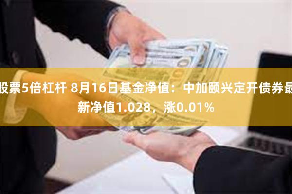 股票5倍杠杆 8月16日基金净值：中加颐兴定开债券最新净值1.028，涨0.01%