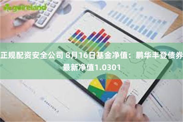 正规配资安全公司 8月16日基金净值：鹏华丰登债券最新净值1.0301