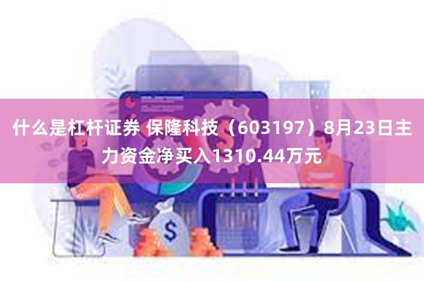 什么是杠杆证券 保隆科技（603197）8月23日主力资金净买入1310.44万元