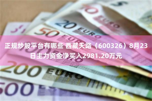 正规炒股平台有哪些 西藏天路（600326）8月23日主力资金净买入2981.20万元