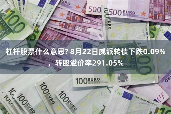 杠杆股票什么意思? 8月22日威派转债下跌0.09%，转股溢价率291.05%