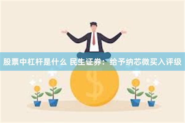 股票中杠杆是什么 民生证券：给予纳芯微买入评级