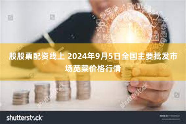 股股票配资线上 2024年9月5日全国主要批发市场苋菜价格行情