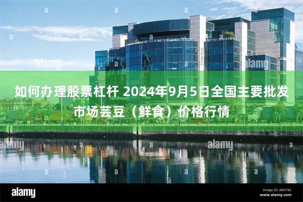 如何办理股票杠杆 2024年9月5日全国主要批发市场芸豆（鲜食）价格行情