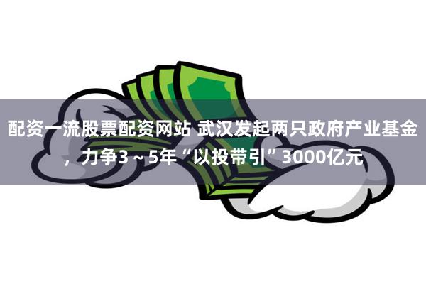 配资一流股票配资网站 武汉发起两只政府产业基金，力争3～5年“以投带引”3000亿元