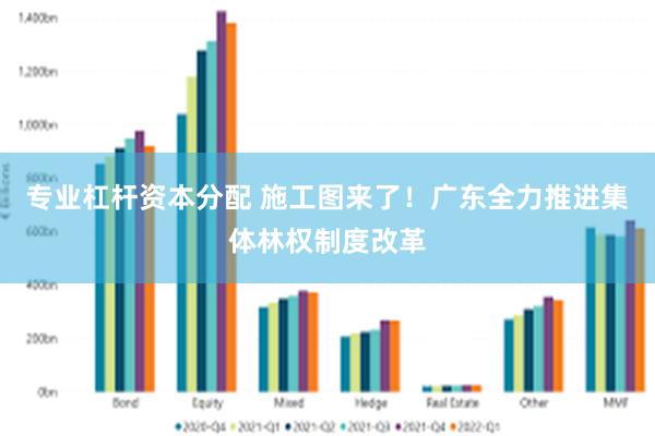 专业杠杆资本分配 施工图来了！广东全力推进集体林权制度改革