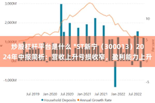 炒股杠杆平台是什么 *ST新宁（300013）2024年中报简析：营收上升亏损收窄，盈利能力上升