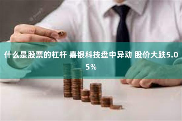 什么是股票的杠杆 嘉银科技盘中异动 股价大跌5.05%