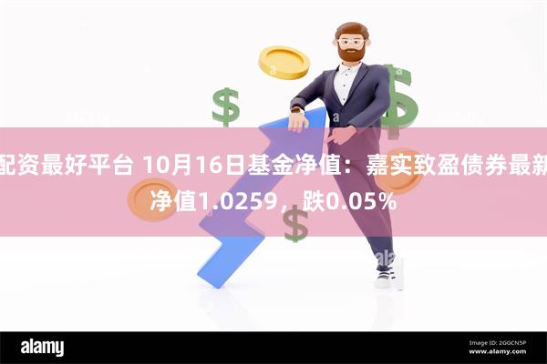 配资最好平台 10月16日基金净值：嘉实致盈债券最新净值1.0259，跌0.05%