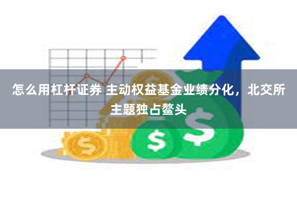 怎么用杠杆证券 主动权益基金业绩分化，北交所主题独占鳌头